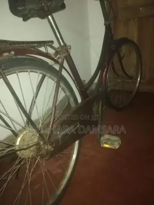 Ladies Bicycle
