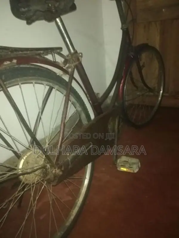 Ladies Bicycle