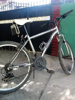 Raleigh Bicycle