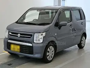 Suzuki Wagon R FX 2024