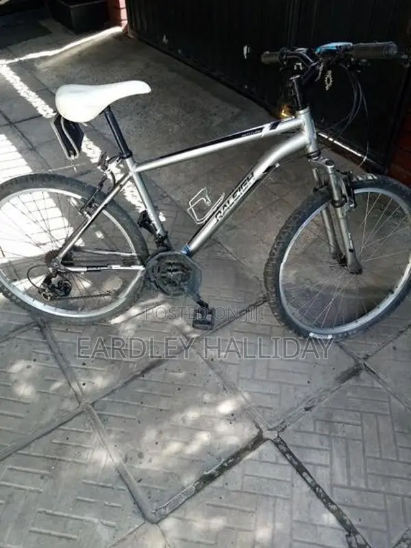 Raleigh Bicycle