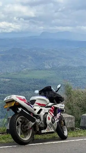 Honda CBR Gullarm MC22 2008