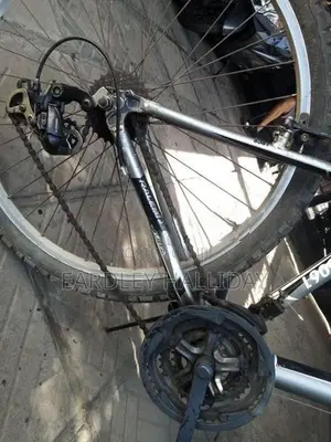 Raleigh Bicycle