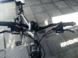 Raleigh Bicycle