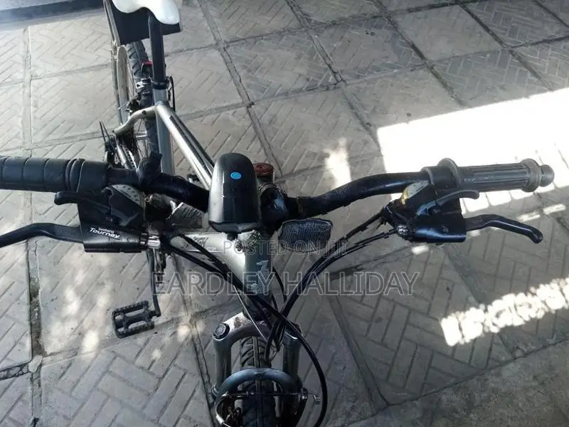 Raleigh Bicycle