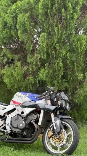 Honda CBR Gullarm MC22 2008