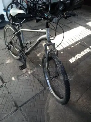 Raleigh Bicycle