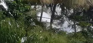 නුවර නගරයෙන් වට්නා ඉඩමක් විකිණීම සඳහා