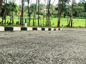 Land for Sale in Panadura Malamulla