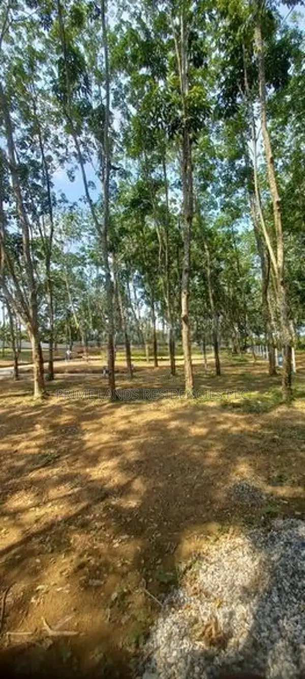 Land for Sale in Panadura Malamulla