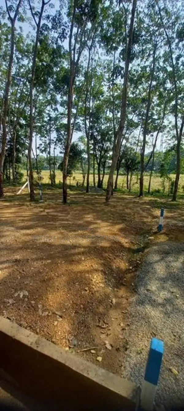 Land for Sale in Panadura Malamulla