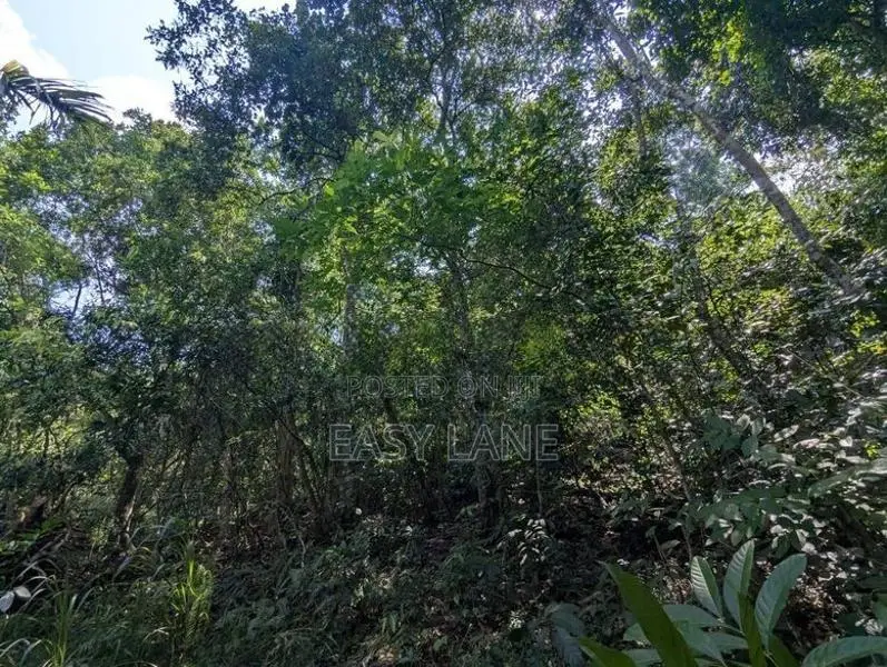 නුවර කටුගස්තොටින් සොඳුරු බිම් කොටසක් විකිණීමට