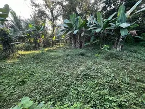 Land for Sale in Kumbuka