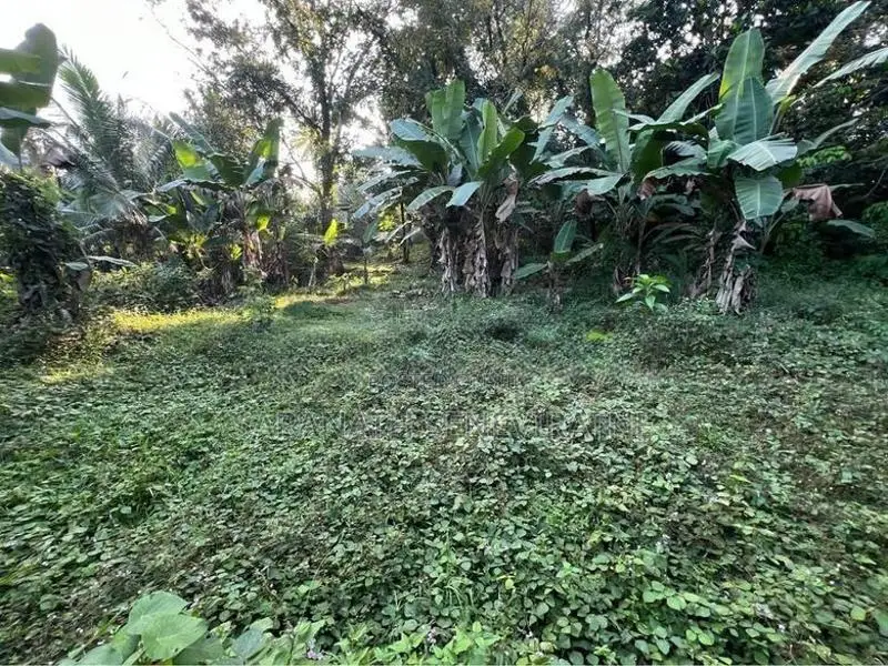 Land for Sale in Kumbuka