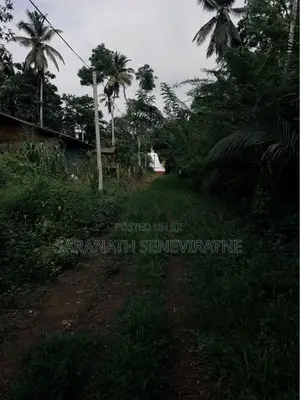 Land for Sale in Gammanpila Bandaragama