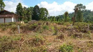 පිලිමතලාව නගරයෙන් ඉඩමක් විකිණීමට