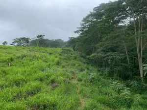 පුස්සැල්ලාව නගරයෙන් ඉඩමක් විකිණීමට