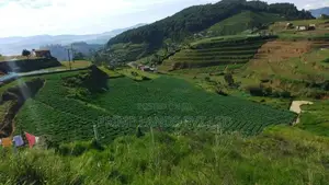 Beautiful Land for Sale Ambewela