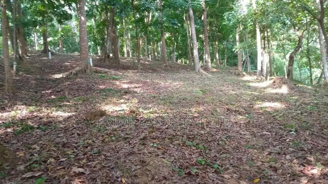 ගලගෙදර නගරයෙන් ඉඩමක් විකිණීමට