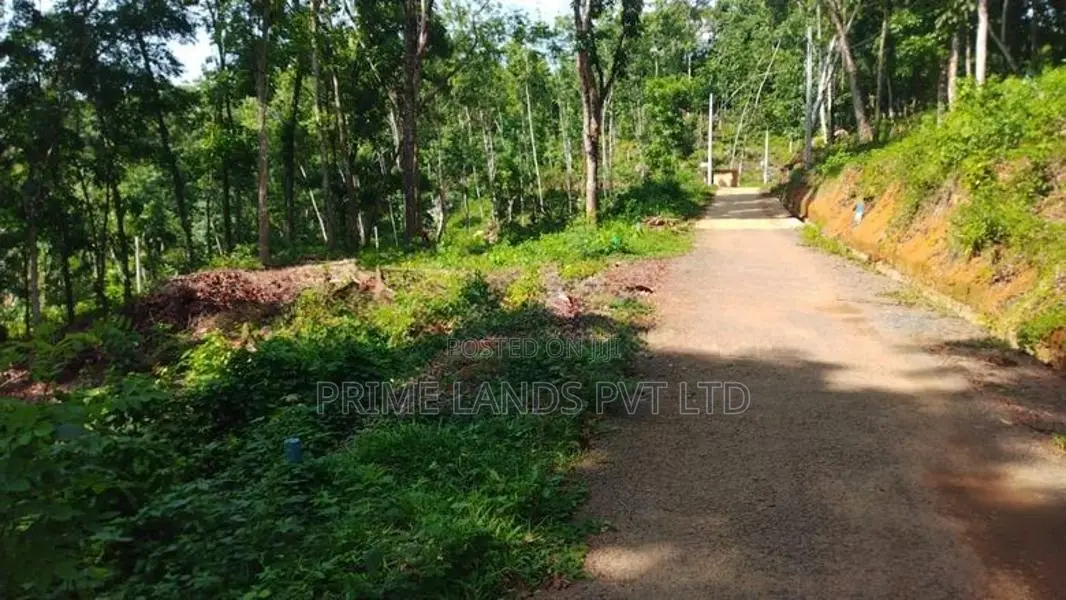 නෙලුන්දෙනිය නගරයෙන් ඉඩමක් විකිණීමට