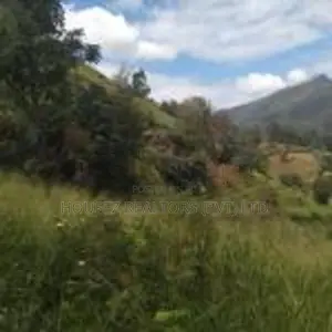 Valuable 10 Acre Land for Sale – Idalgashinna Border Area
