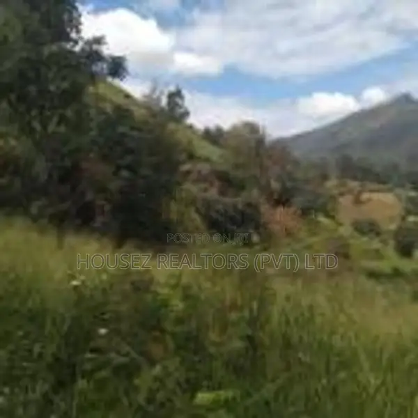 Valuable 10 Acre Land for Sale – Idalgashinna Border Area