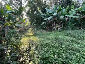 Land for Sale in Kumbuka