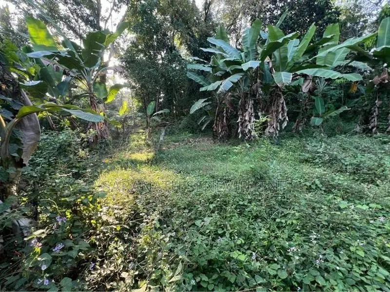 Land for Sale in Kumbuka