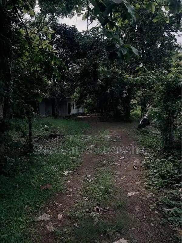 Land for Sale in Gammanpila Bandaragama