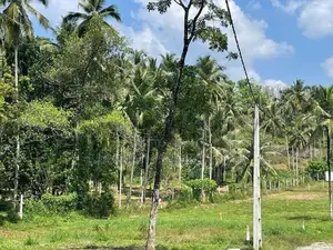 Land for Sale Watareka, Padukka (Near Watareka Station)