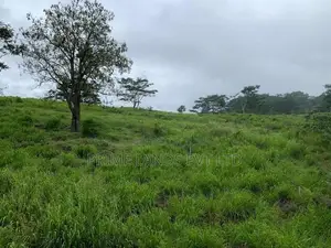 පුස්සැල්ලාව නගරයෙන් ඉඩමක් විකිණීමට