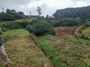 Beautiful Land for Sale Ambewela