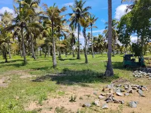 අනුරාධපුර නාච්චාදූව වැව පාරෙන් ඉඩම්