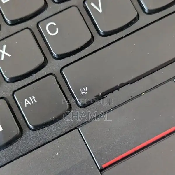 Lenovo ThinkPad T14 Core i5-11th GEN 16GB RAM 256GB SSD Laptop