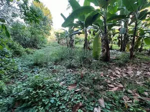 Land for Sale in Kumbuka