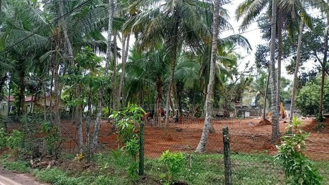 කදාන වැදගත් අසල්වැසි පරිසරයක පදිංචි වෙන්න ඉඩම