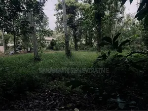 Land for Sale in Gammanpila Bandaragama