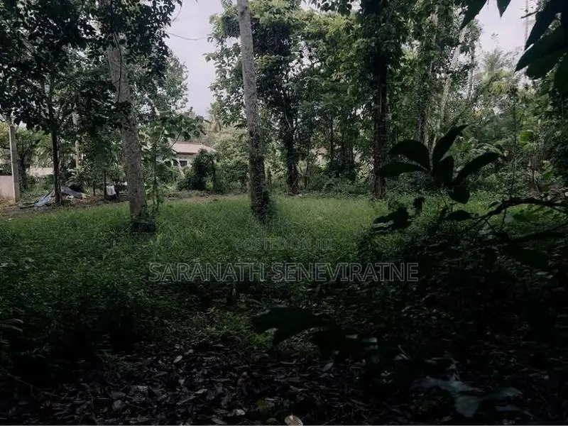 Land for Sale in Gammanpila Bandaragama