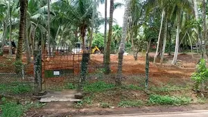 Land for Sale in Batagama Road,Kandana