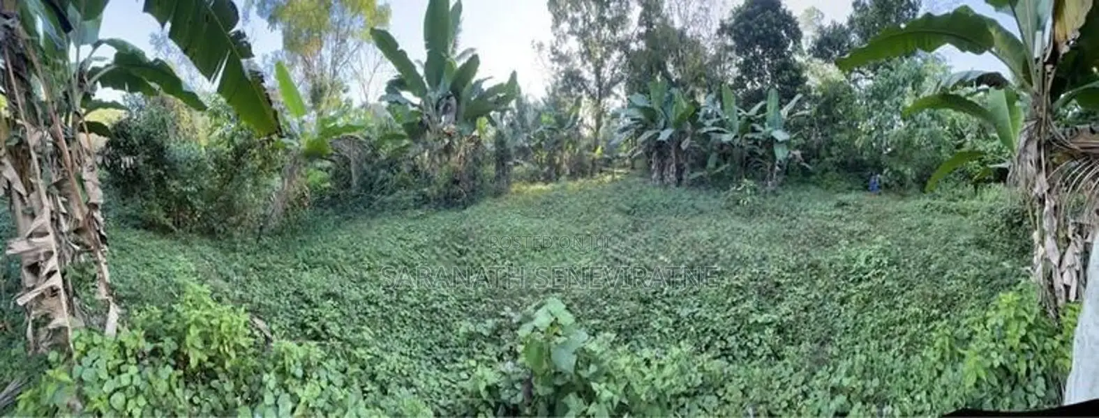 Land for Sale in Kumbuka