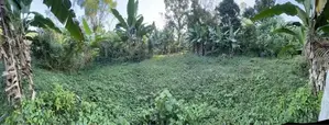 Land for Sale in Kumbuka