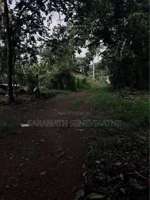 Land for Sale in Gammanpila Bandaragama