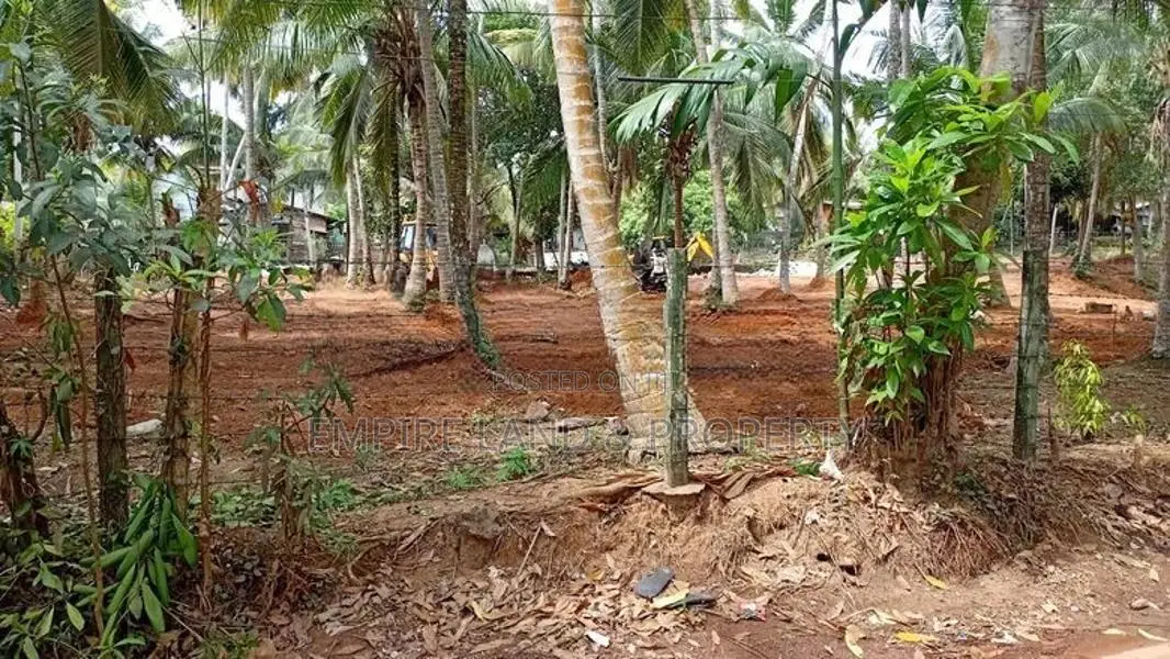කදාන වැදගත් අසල්වැසි පරිසරයක පදිංචි වෙන්න ඉඩම