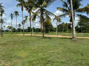 වාරියපොල නගරයෙන් සින්නක්කර බිම්කොටසක් විකිණීමට