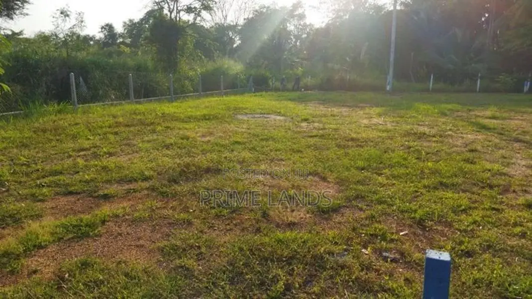 අනුරාධපුර පුත්තලම් පාරෙන් ව්‍යාපාරික බිම්කොටසක් විකිණීමට