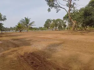 අනුරාධපුර නාච්චාදූවෙන් සින්නක්කර නේවාසික බිම්කොටස් විකිණීමට