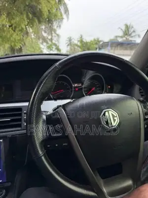 MG 6 2014