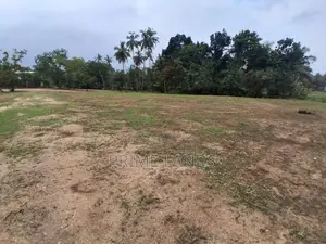 දඹුල්ල නගරයට නුදුරින් සින්නක්කර බිම්කොටස් විකිණීමට