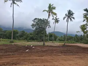 දඹුල්ල නගරයට නුදුරින් සින්නක්කර බිම්කොටස් විකිණීමට