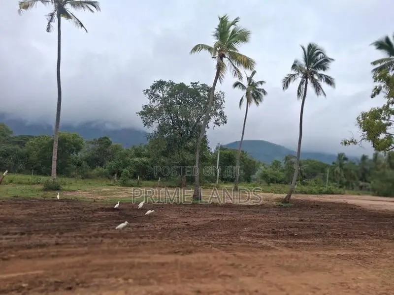 දඹුල්ල නගරයට නුදුරින් සින්නක්කර බිම්කොටස් විකිණීමට